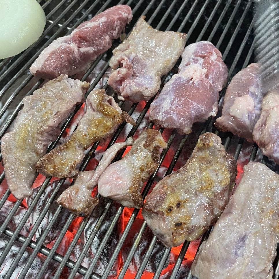참고기 이미지