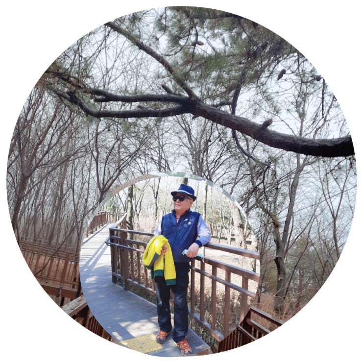 영상화원 이미지