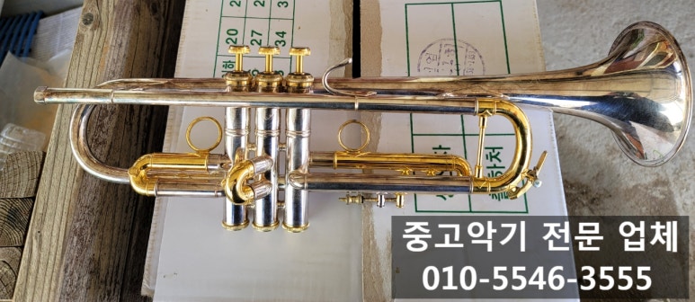 바하악기 이미지