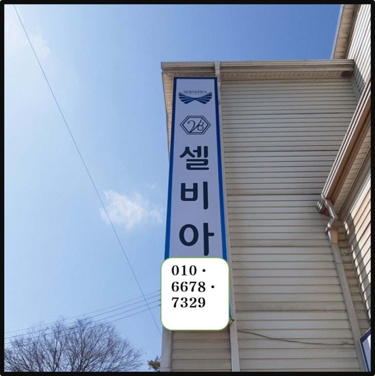 셀비아뷰티 이미지