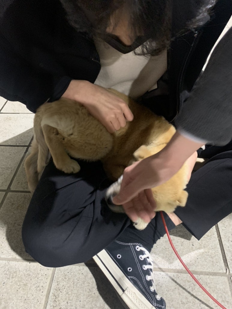 오리정주유소 이미지