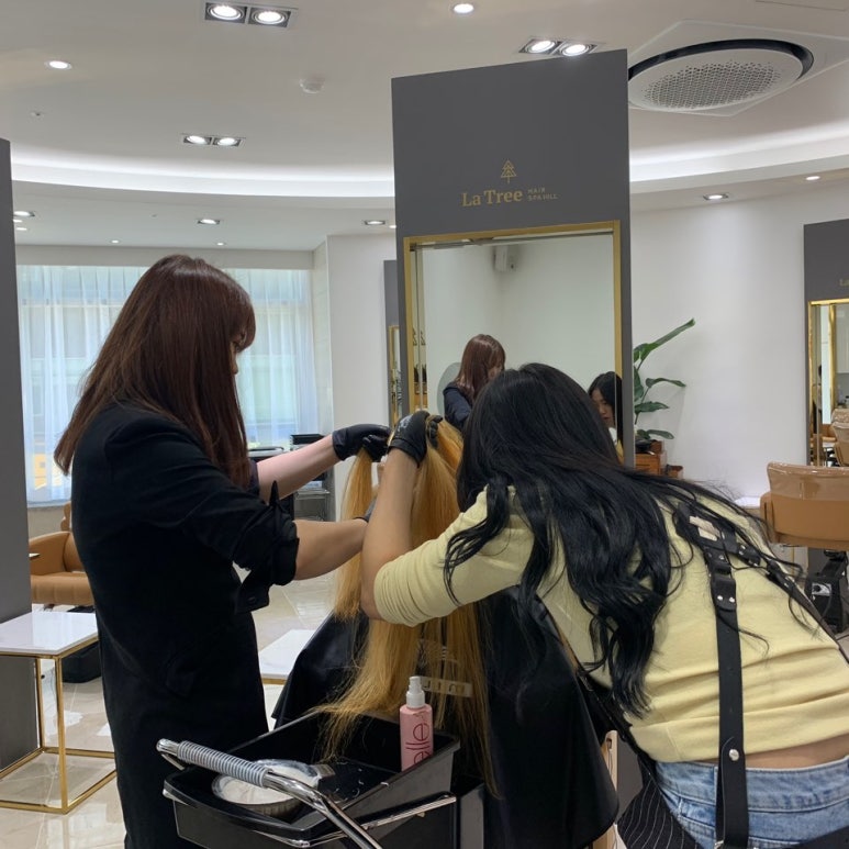 라트리헤어스파힐 이미지