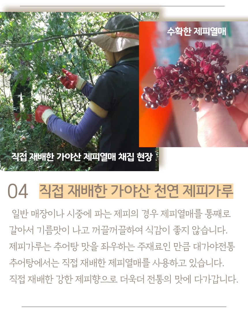 가야산 추어탕 이미지