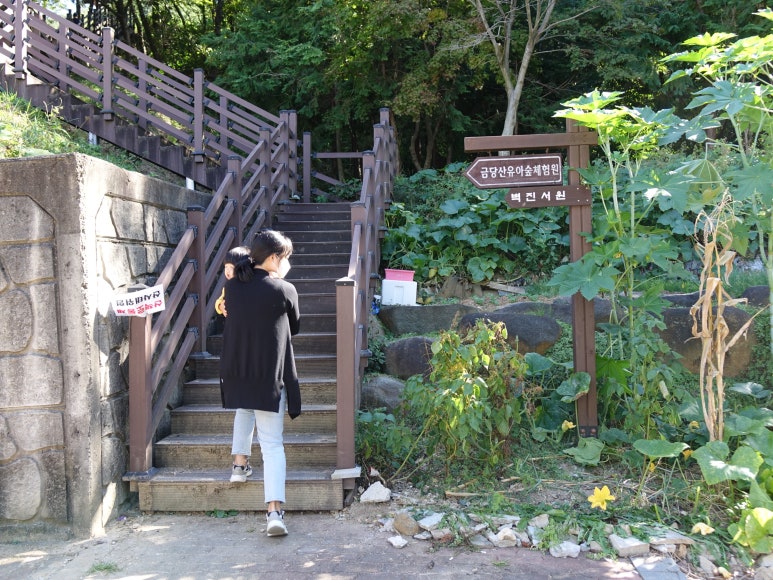사직공원 유아숲체험원 이미지