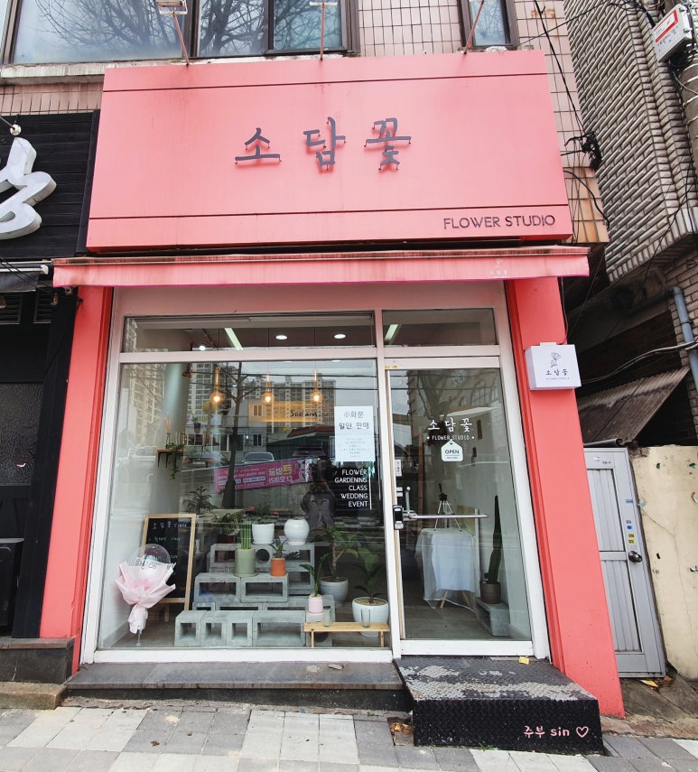 소담꽃 이미지