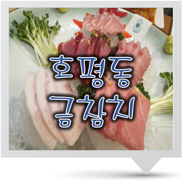 금참치 이미지