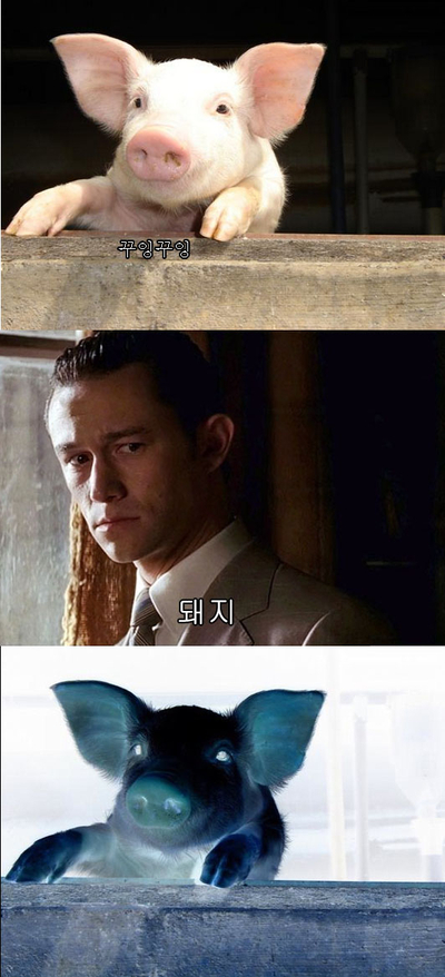 스시쇼부 이미지