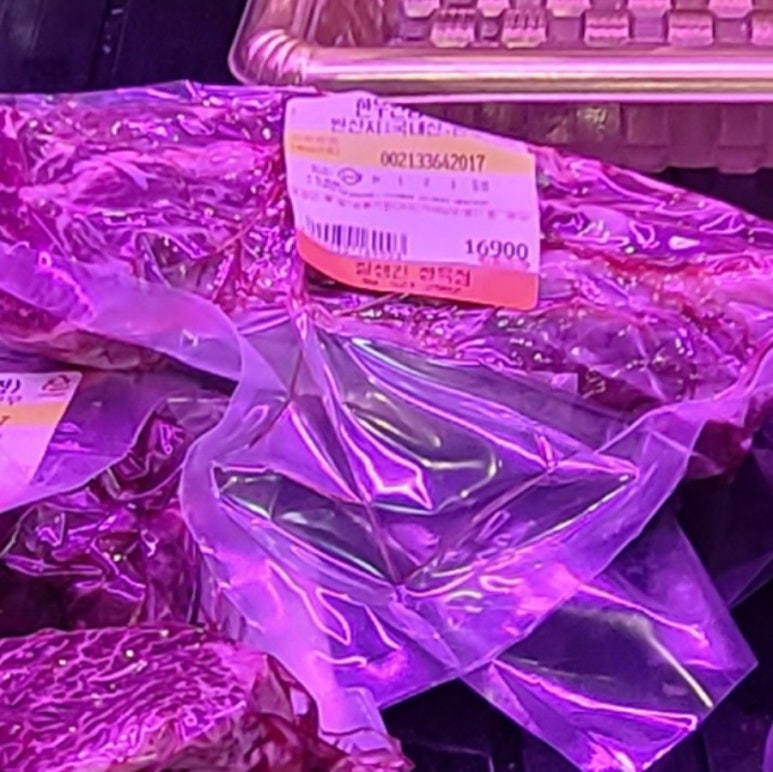 청춘정육점 이미지