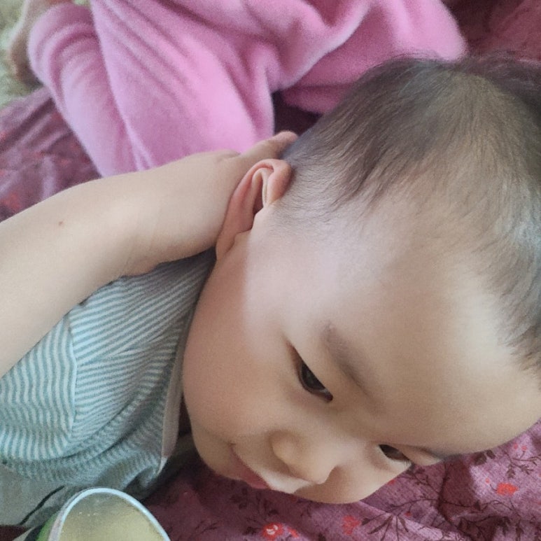 싸움의고수평화점 이미지