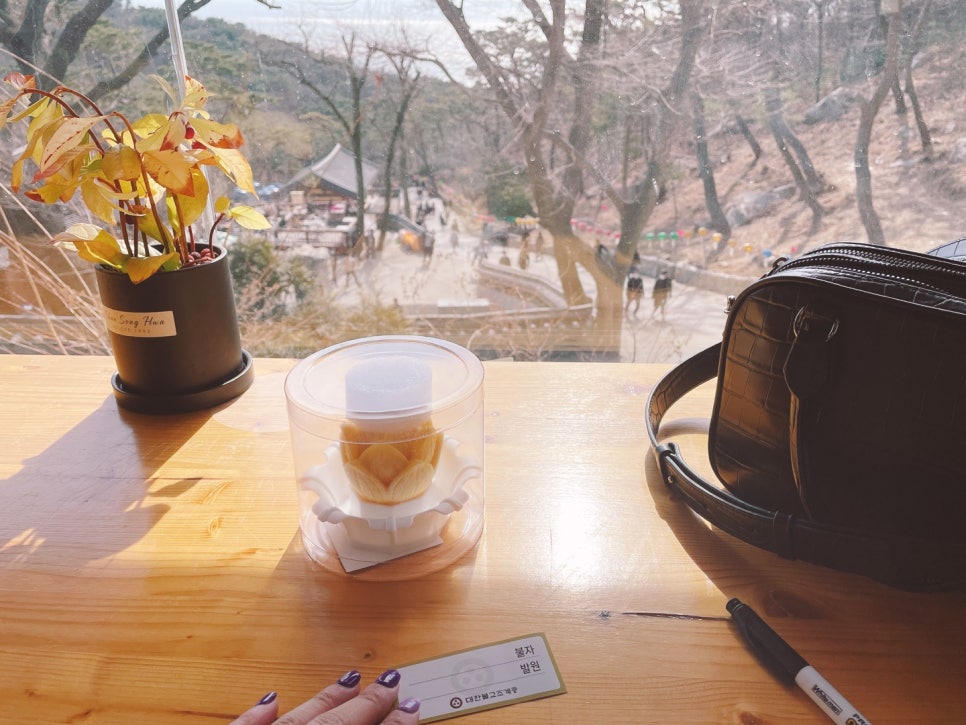 효진상점 이미지
