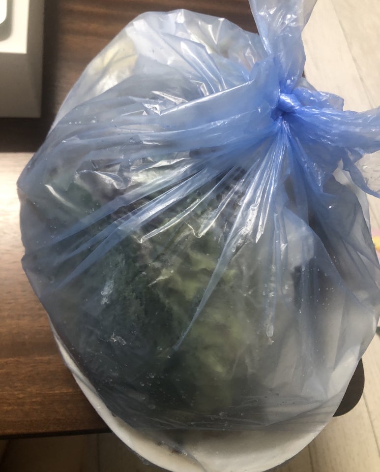 스시 먹는 오징어 이미지