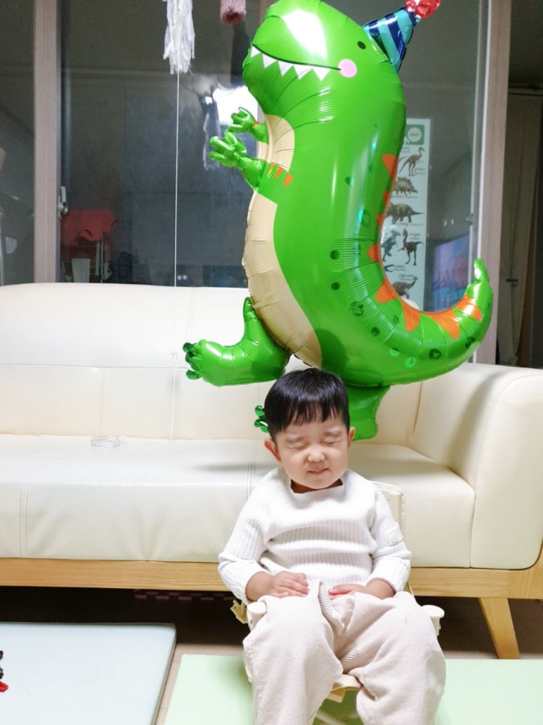 이니지아 이미지
