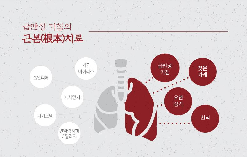 진해고등학교 이미지