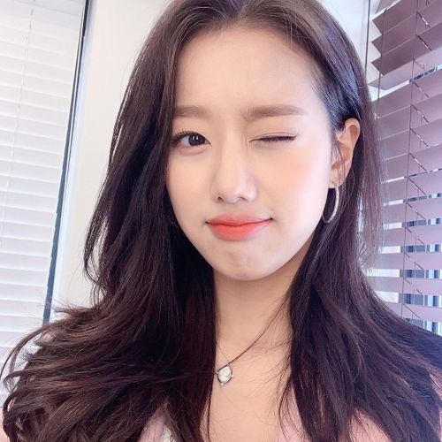법무법인엘프스 이미지
