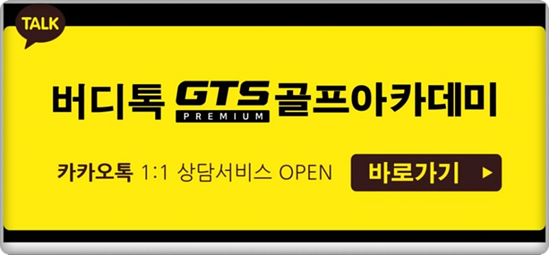 다인골프 이미지