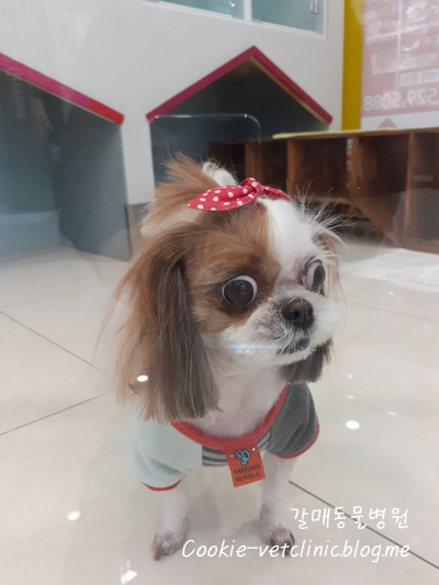금파미용실 이미지