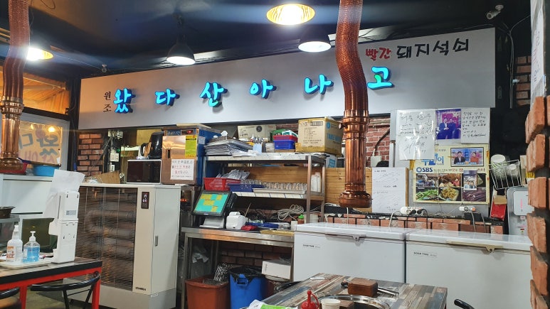 살아있네산곰장어 이미지