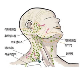 힐테라피 이미지