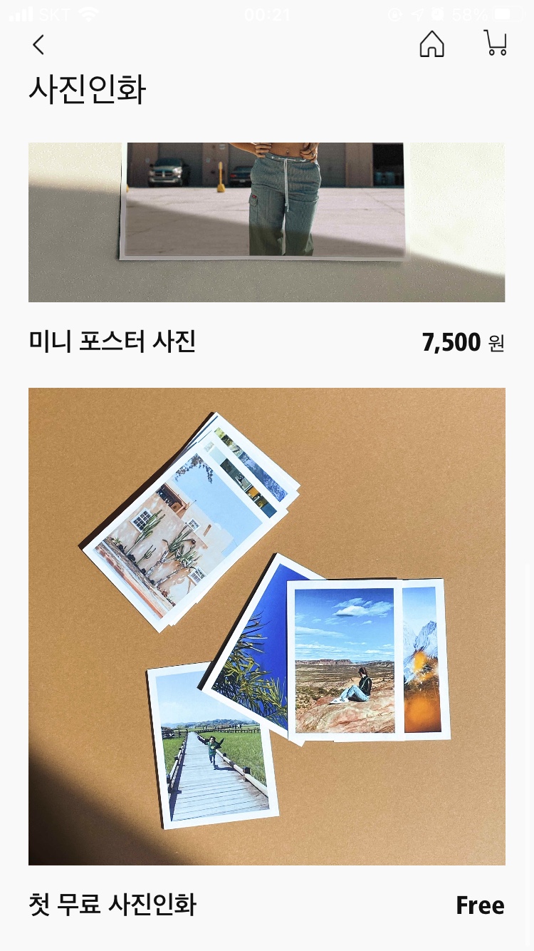 필라로이드 이미지