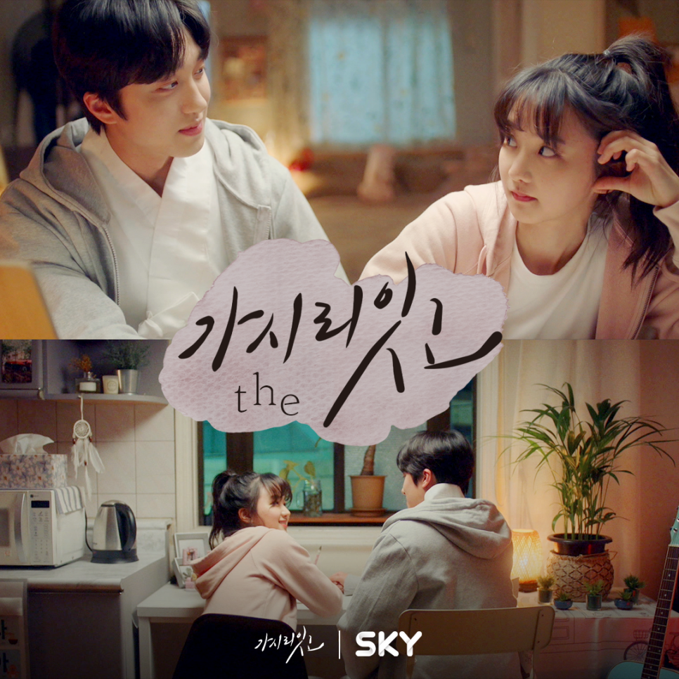 스카이(SKY) 이미지