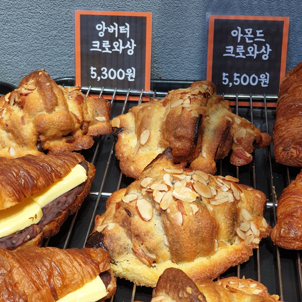 홍익당 이미지