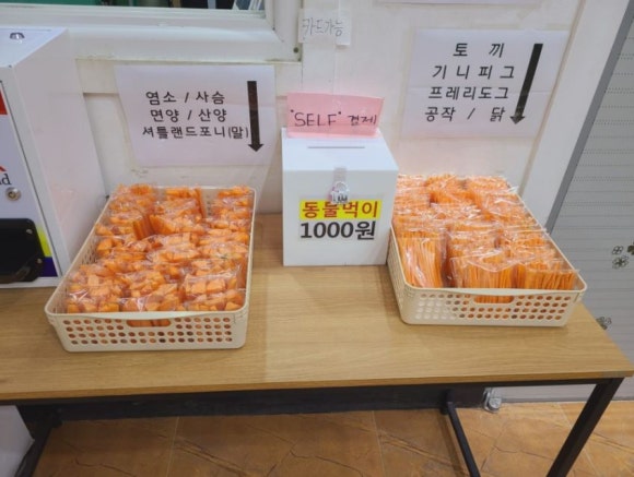 덕평공룡수목원 이미지