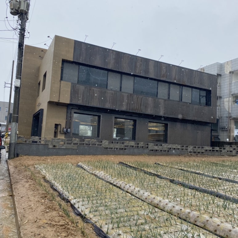 Apex Coffee(에이펙스 커피) 이미지