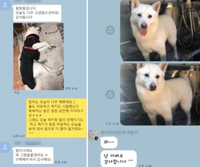 신남케어 이미지