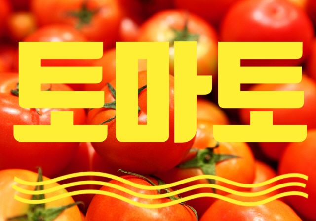 토마토휘트니스 이미지