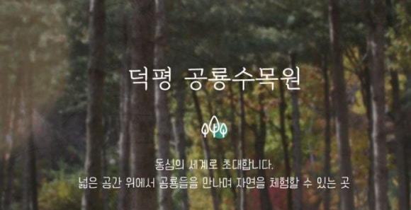 덕평공룡수목원 이미지