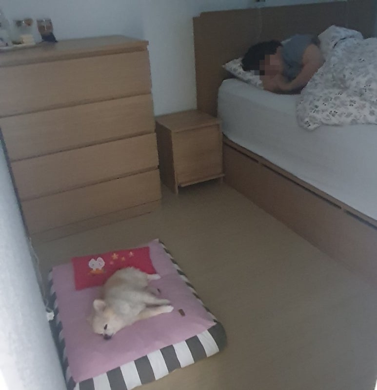 갤럭시신세계의정부 이미지