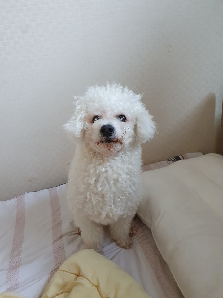 좋은인연펜션 이미지