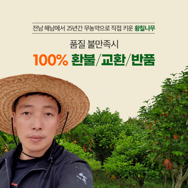 산호황칠나무농원 이미지