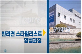 장안인력개발 이미지