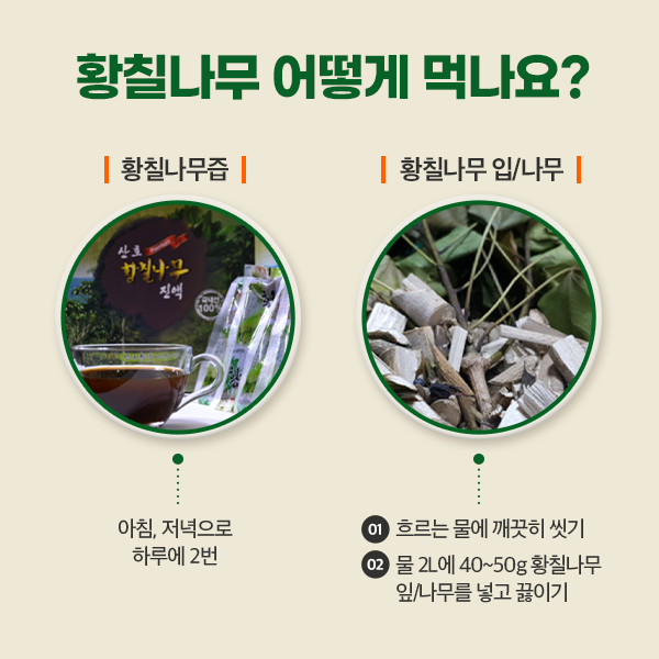산호황칠나무농원 이미지