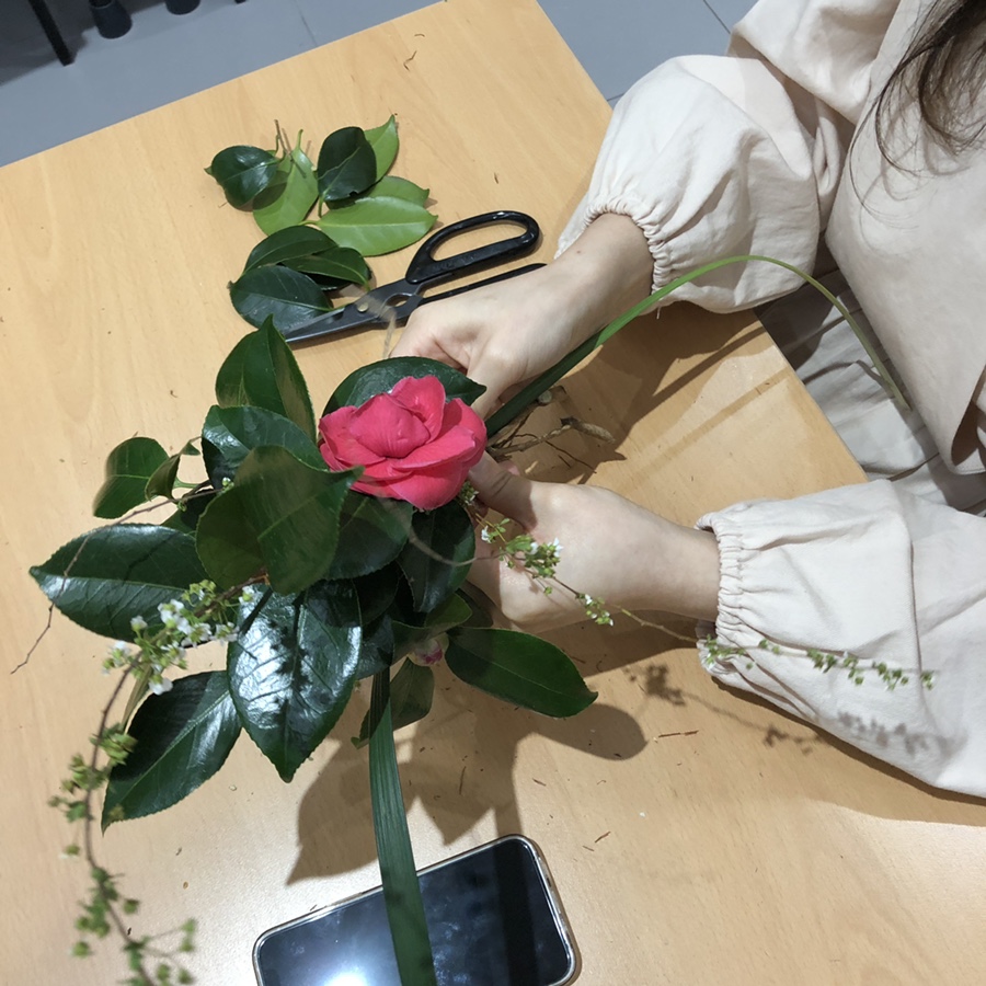 사라플라워 이미지