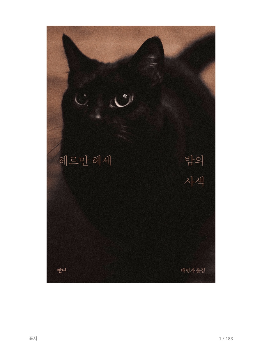 밤의사색 이미지