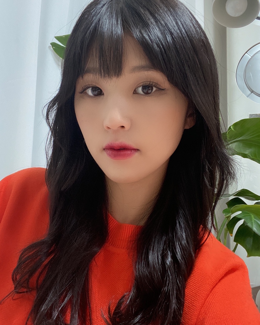 모드살롱 이미지