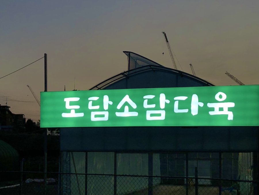 도담소담다육 이미지