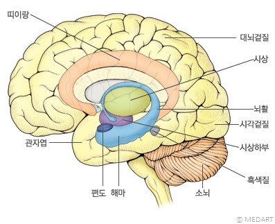 도대상회 이미지