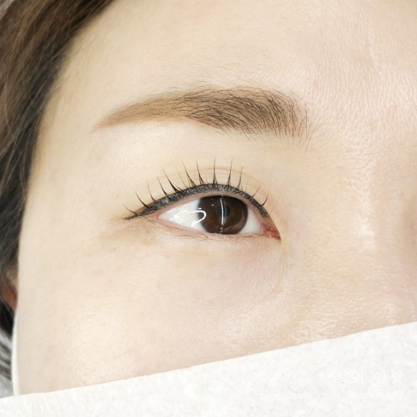 로코네로 이미지