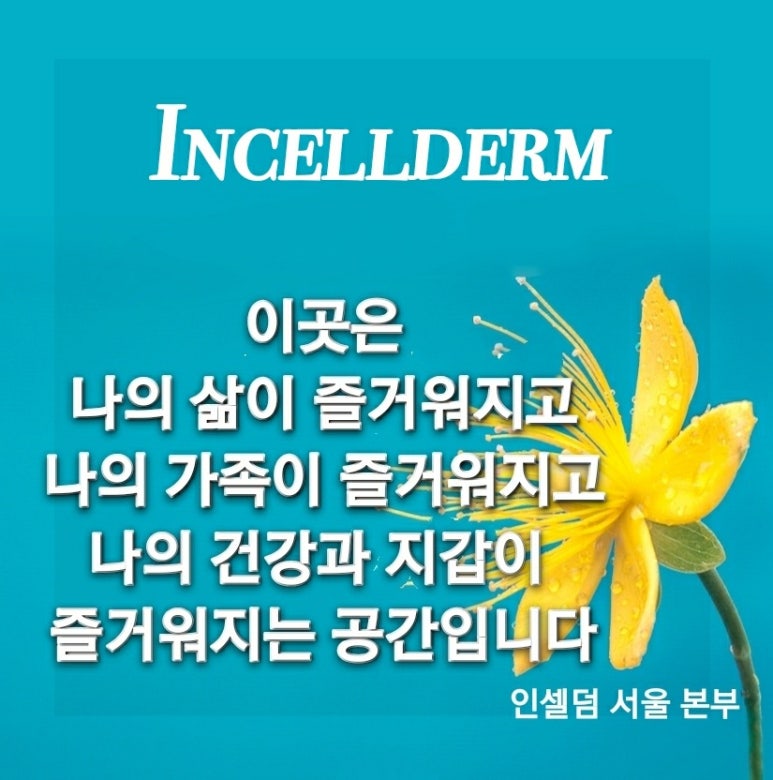 소망 인셀덤 이미지