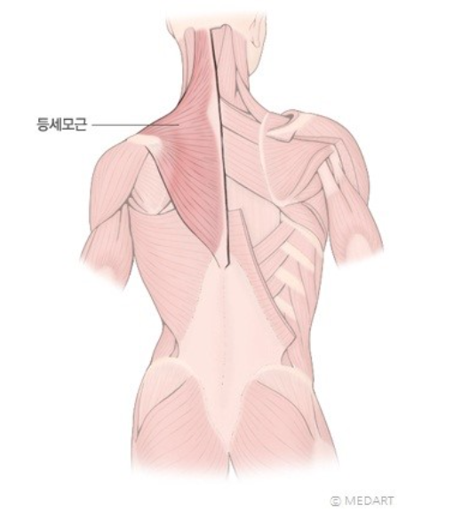 채움에스테틱 이미지