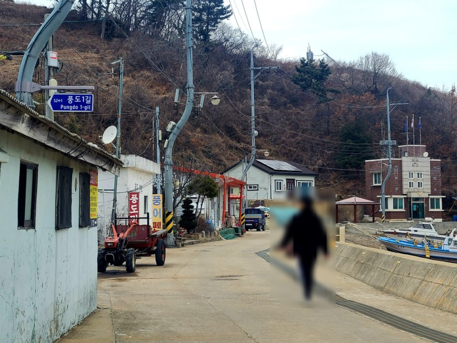 야생화마을펜션민박 이미지