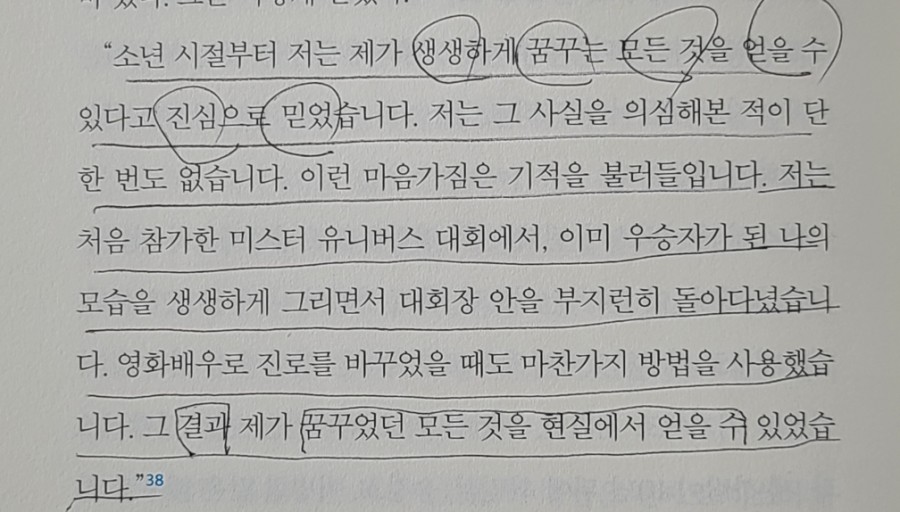 슈웨제네거 이미지
