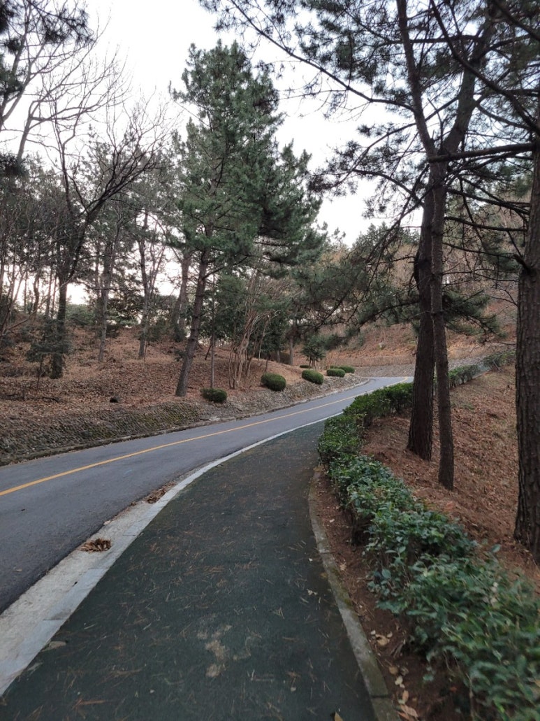 마동근린공원산책로 이미지