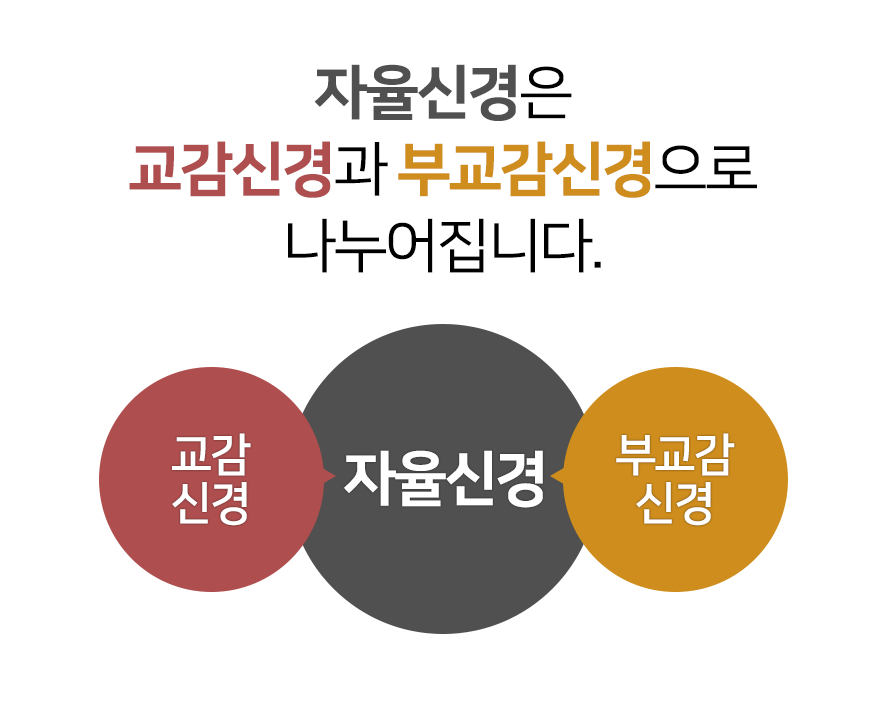 해오름한의원 이미지