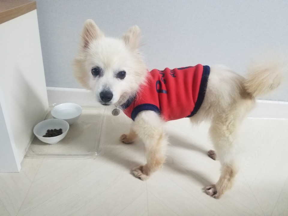 호두가족 이미지