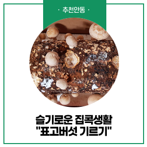 주식회사 채움기술 이미지