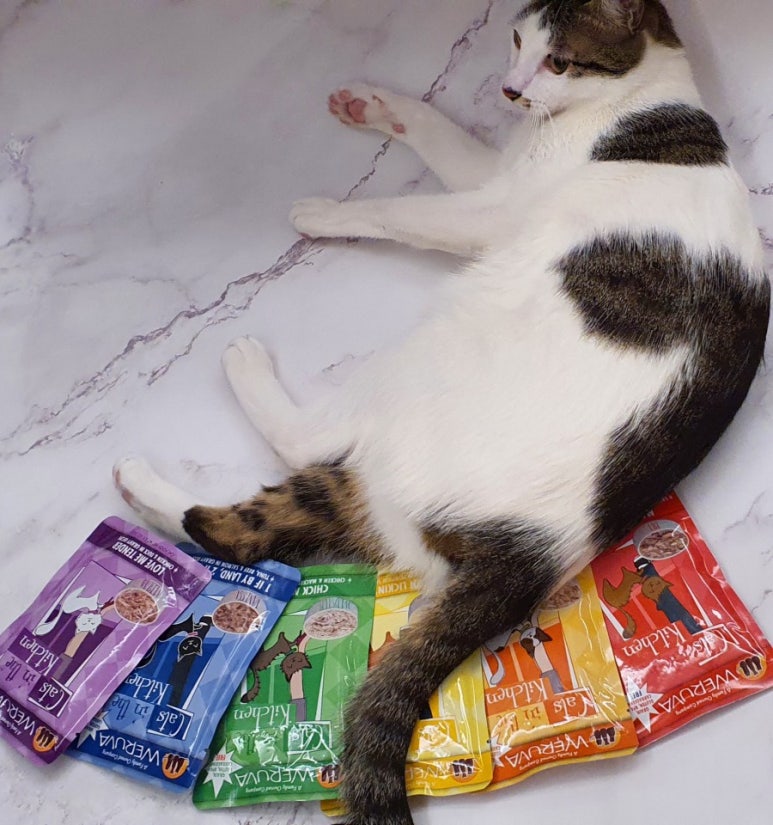 키친팬트리 이미지